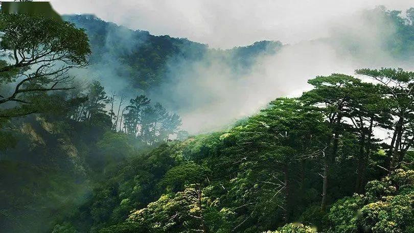 乡村迈上“快车道” 百姓生活更美好